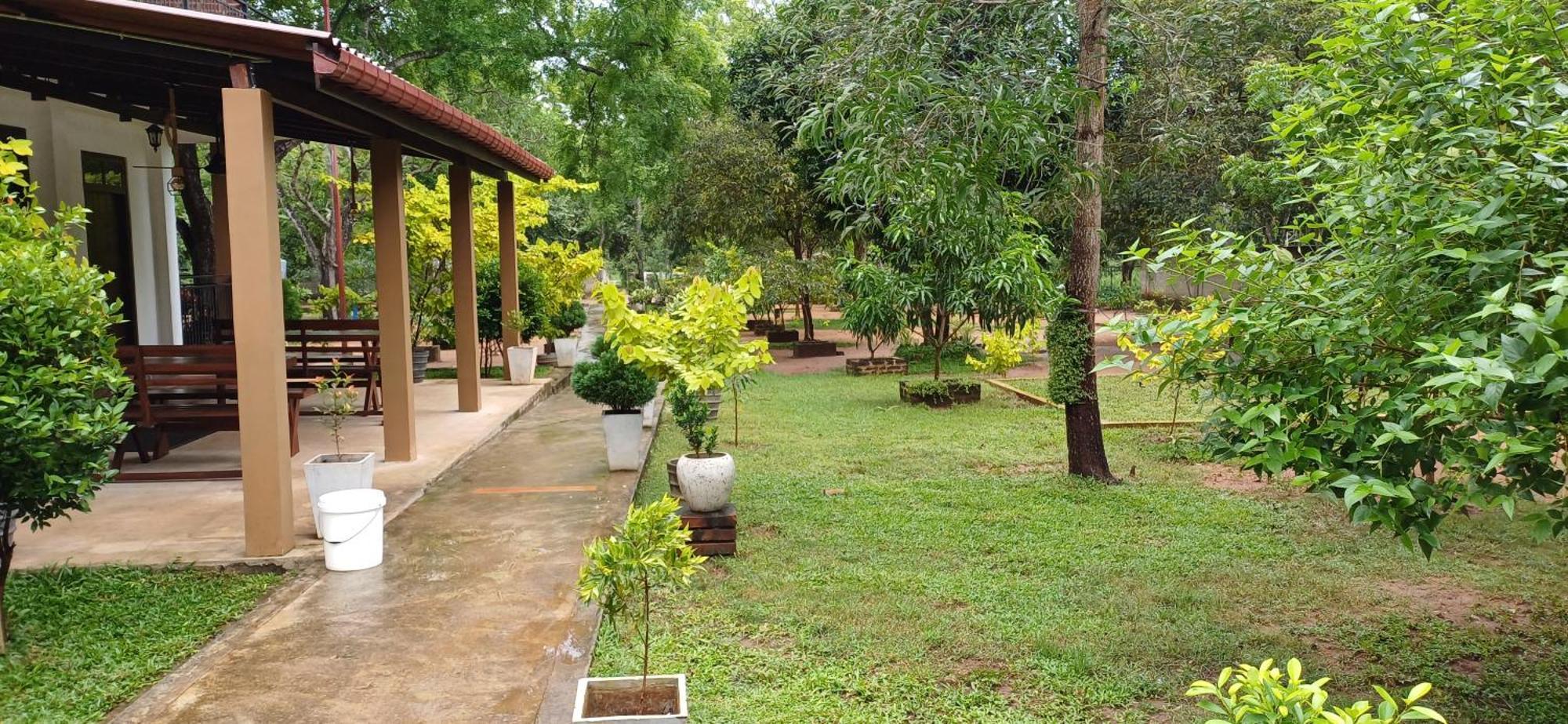 Forest Edge Villa Anuradhapura Esterno foto